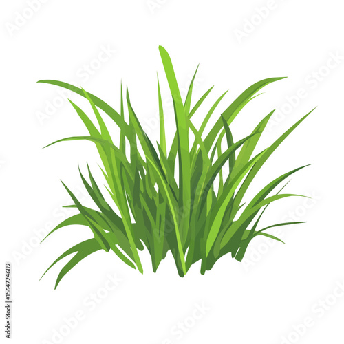 My A Simple flat 2D illustration green grass blades isolated on transparent background, vector, flat design, animation design, simple flat 2D icon, clipart, design by me. My vector design