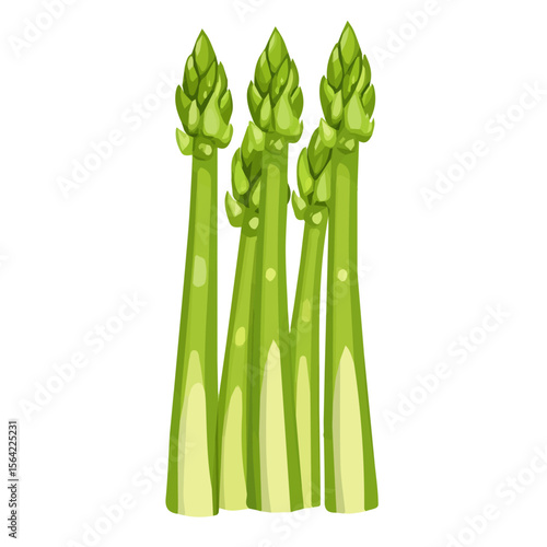 My A Simple flat 2D illustration green asparagus isolated on transparent background, vector, animation design, simple flat 2D clipart, design by me. My vector design