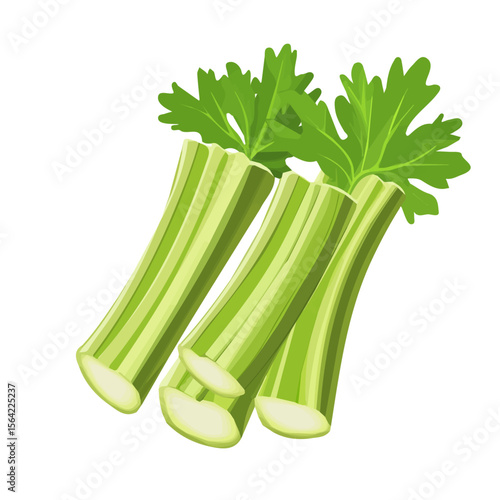 My A Simple flat 2D illustration icon sliced celery isolated on transparent background, vector, animation design, simple flat 2D clipart, design by me. My vector design