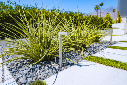 Drought tolerant landscaping and path lighting in Palm Springs