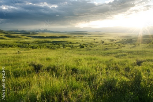 Serene landscape with green grass and sunset horizon for nature inspiration