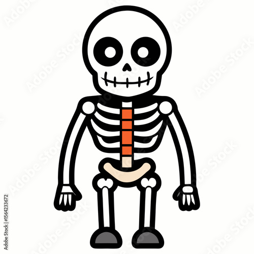 Cartoon skeleton body with orange spine and beige pelvis bones illustration