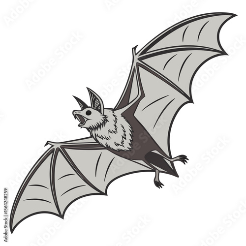 Gray bat flying with wings spread mammal nocturnal