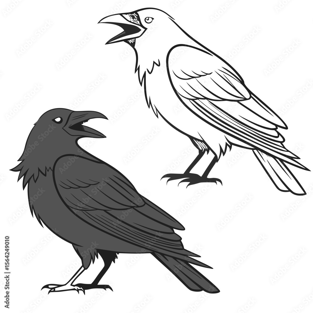 Obraz premium Crows with open beaks raven bird