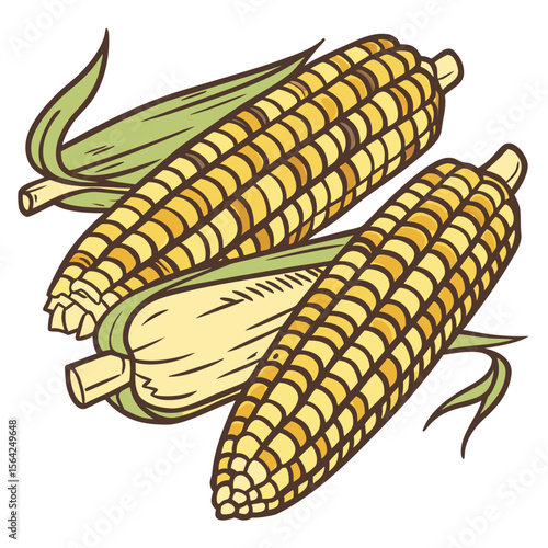 Two Corn Cobs With Green Husks maize kernels