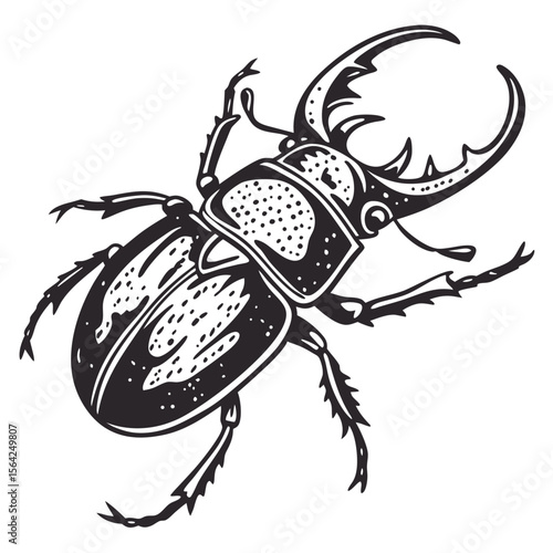 Stag beetle intricate black ink illustration insect