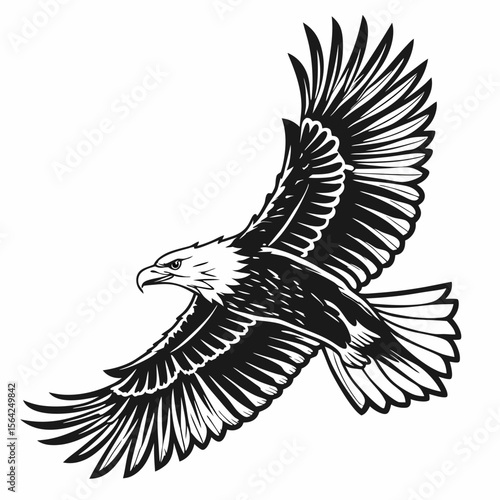 Majestic eagle soaring with spread wings bird flight