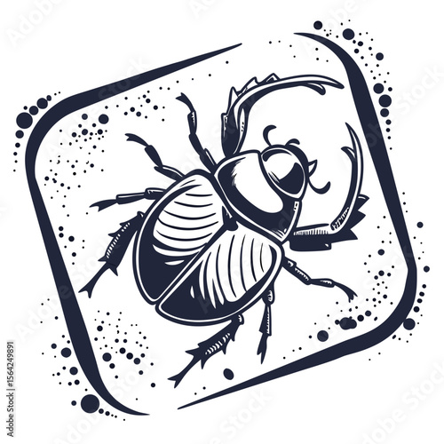 Dark beetle with ornate frame insect