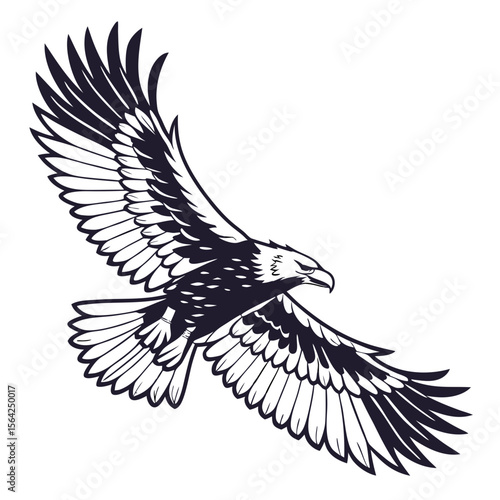 Majestic eagle soaring with spread wings bird flying
