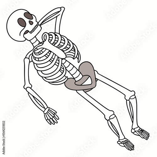 Relaxed skeleton resting on white human skeleton bones