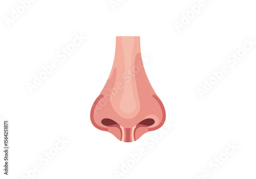 Vector Illustration of a Human Nose Anatomical and Detailed Design.