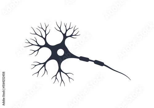 Detailed Illustration of a Neuron Cell with Dendrites and Axon.