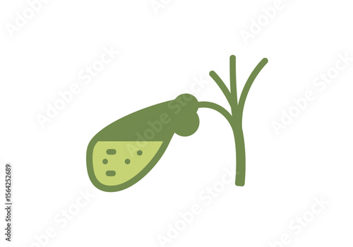 Simple Illustration of a Gallbladder with Bile Ducts.