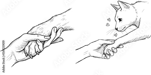 Hand Holding Paw. Pencil sketch illustration of a hand reaching out to a cat's paw with affection, hand-drawn vector on transparent background. Pet care, friendship, love, animal connection