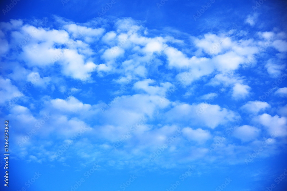 Fototapeta premium 青空と綿雲