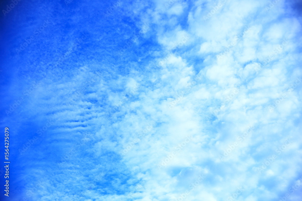 Fototapeta premium 澄んだ青空に広がるバラエティな雲