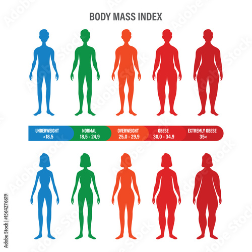 Man and Woman Body Mass Index Vector Illustration