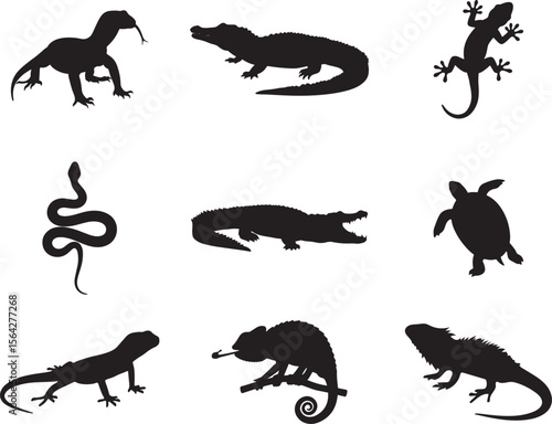 Collection of Nine Reptile Silhouettes:  Chameleon, Crocodile, Turtle, Snake, Lizard, Gecko, Monitor Lizard, Alligator, Iguana.
