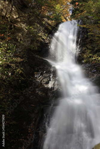 Autumn Waterfall in a Serene Forest in Japan