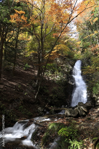 Autumn Waterfall in a Serene Forest in Japan