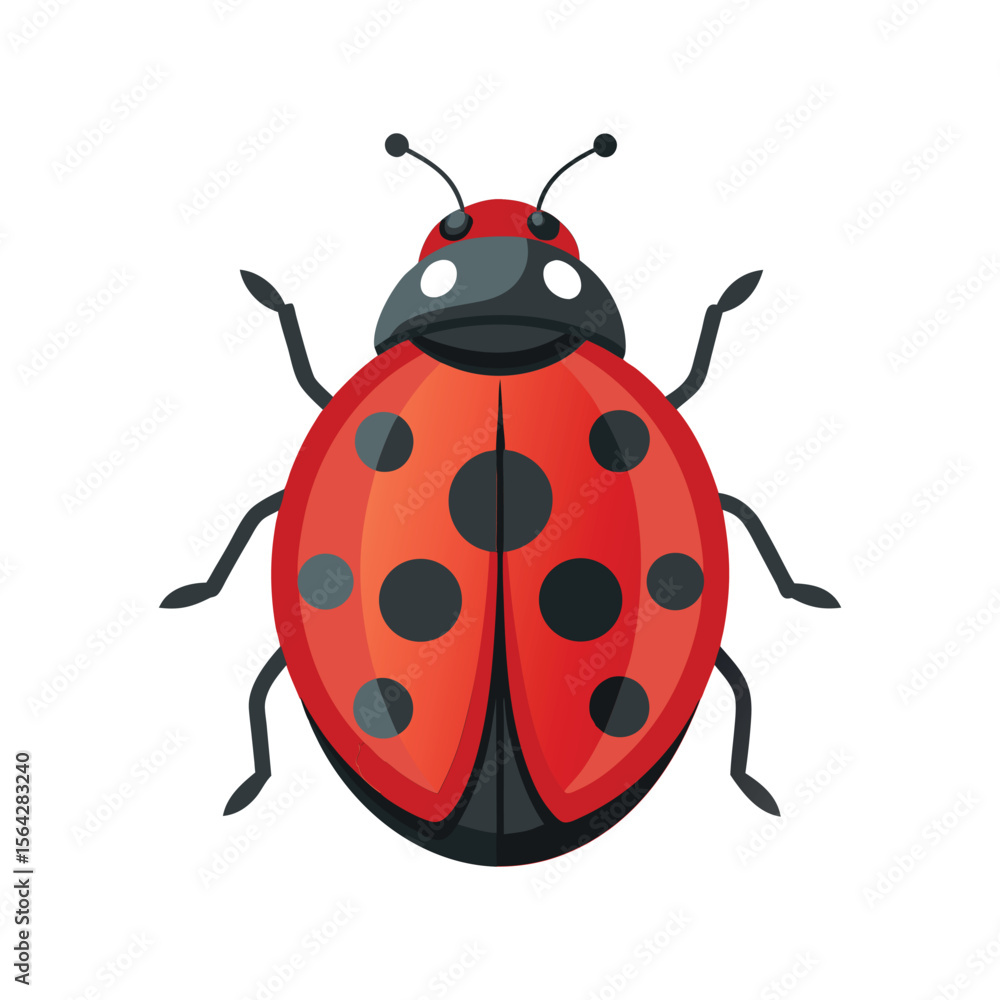 Red Ladybug Insect Vector Illustration - Cute Garden Bug Red Ladybug Insect Vector Illustration - Cute Garden Bug