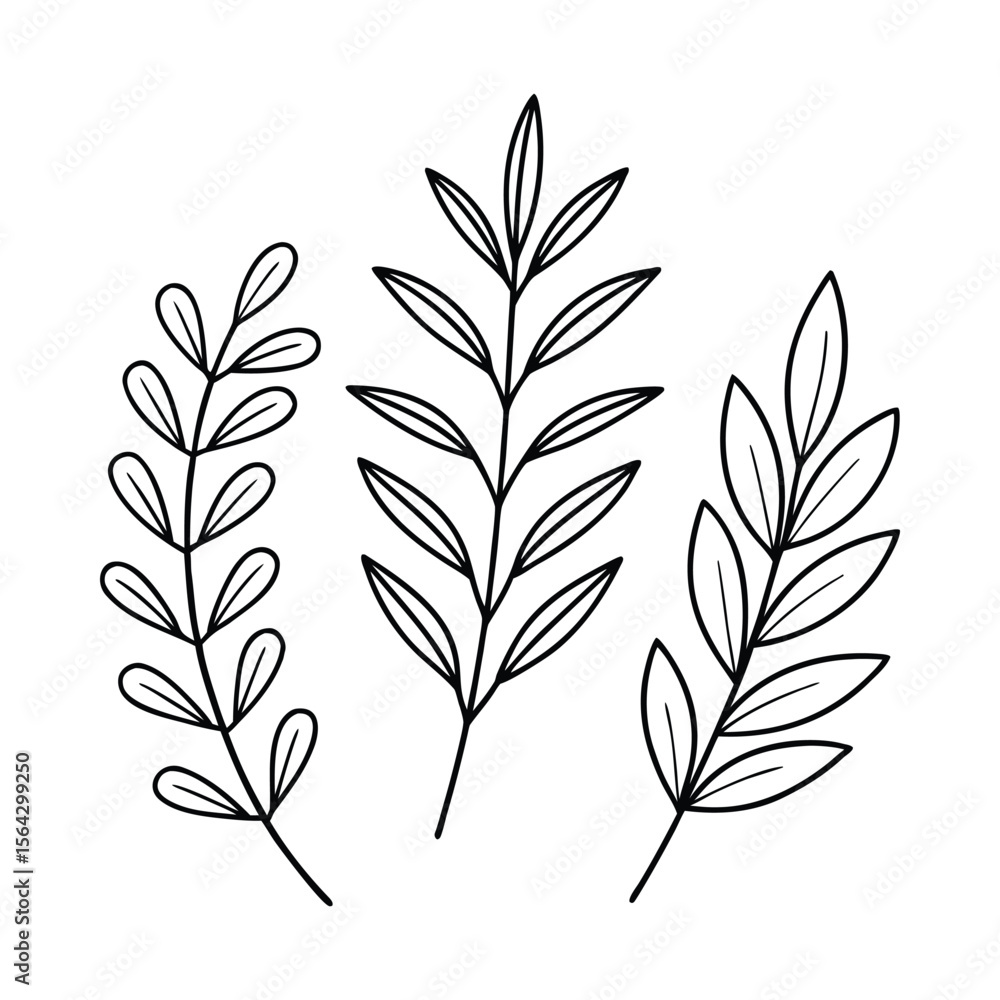 Naklejka premium Minimalist Herb and Leaf Line Art Collection — Basil, Rosemary, Thyme, Eucalyptus in Black and White