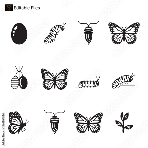 Butterfly Life Cycle Icons: Egg, Larva, Pupa, and Adult Stages