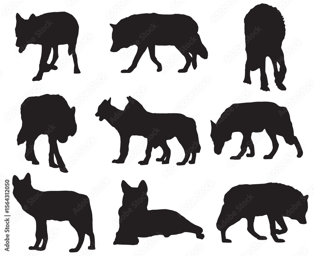 Obraz premium Wolf Silhouettes, Vector Illustration Isolated on White.