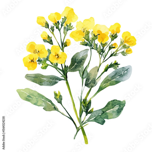 My Watercolor illustration with mustard painting isolated on a white background, illustration, AI painting design, vector illustration set, eps format, My illustration