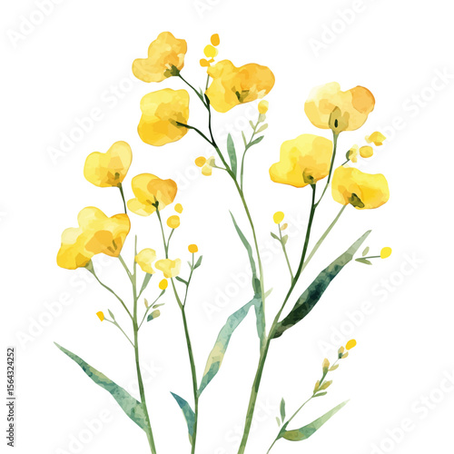 My Watercolor illustration with mustard branches painting isolated on a white background, illustration, AI painting design, vector illustration set, eps format, My illustration
