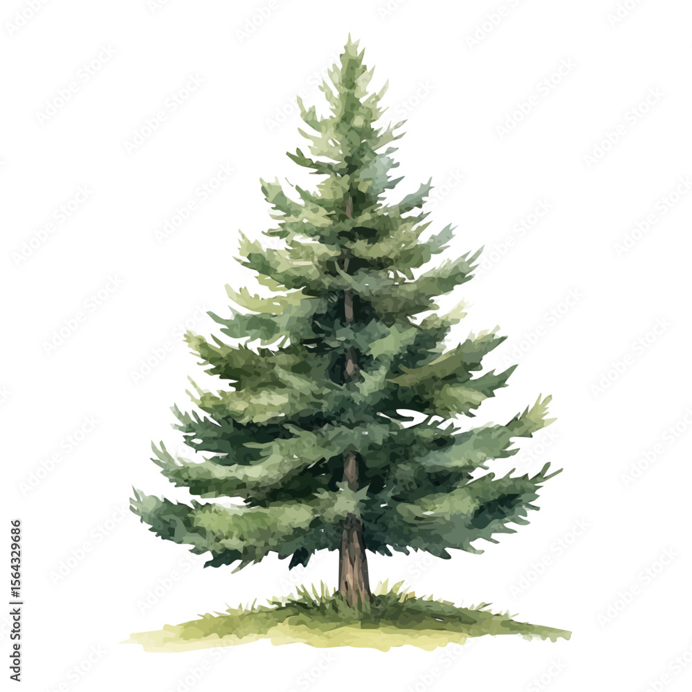 Obraz premium My Watercolor illustration with pine tree painting isolated on a white background, illustration, AI painting design, vector set, eps format, My illustration design