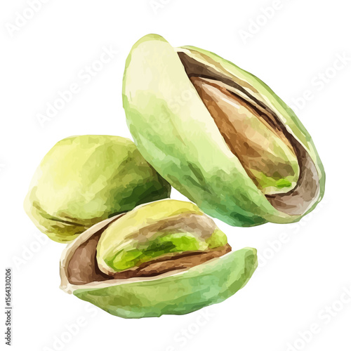 My Watercolor illustration with pistachio painting isolated on a white background, illustration, AI painting design, vector set, eps format, My illustration design