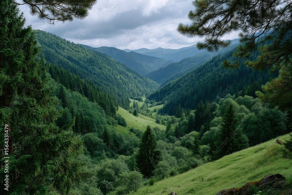 Verdant mountain valley vista featuring treecovered slopes and a cloudy sky viewed through tree branches Verdant mountain valley vista featuring treecovered slopes and a cloudy sky viewed through tree branches