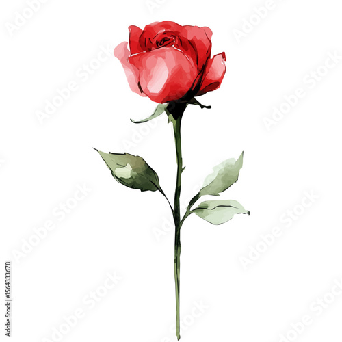 My Watercolor illustration with red rose branch painting isolated on a white background, illustration, AI painting design, vector set, eps format, My illustration design, vector collection	