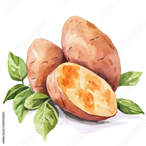 My Watercolor illustration with sweet potato painting isolated on a white background, illustration, AI painting design, vector set, eps format, My illustration design