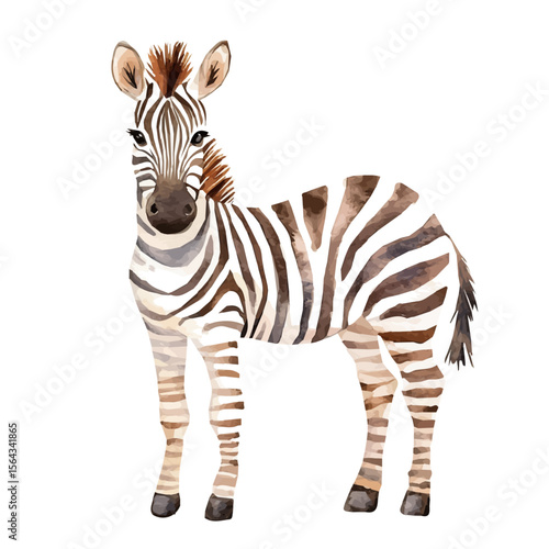 My Watercolor illustration with zebra painting isolated on a white background, illustration, AI painting design, vector set, eps format, My illustration design