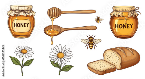 Illustration of honey jars, honey dipper, spoon with honey, bread, daisies, and bees on white background