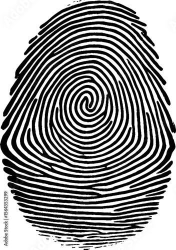 Vector format of finger print.