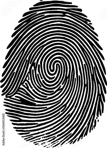Fingerprint photographed on white background. Made with the right ink used by police to take fingerprints.