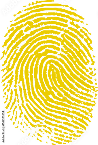 Fingerprint photographed on white background. Made with the right ink used by police to take fingerprints.