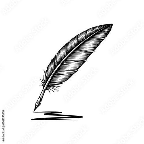 Sketch of a single feather with intricate details and black ink stroke