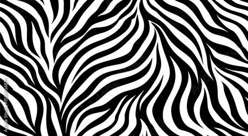 black and white ZEBRA  abstract background