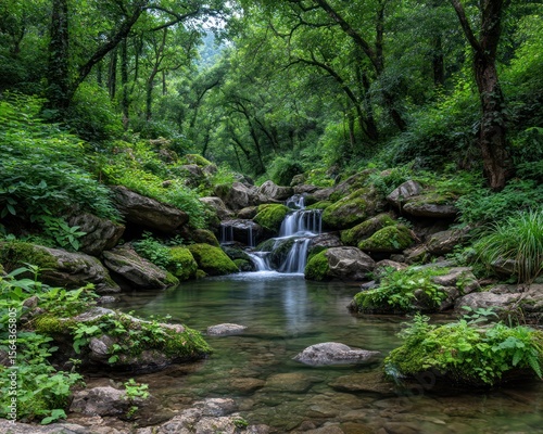 Lush forest stream cascading