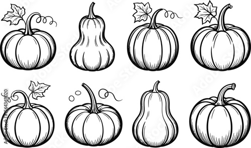 Black and White Pumpkin and Gourd Outlines on White Background
