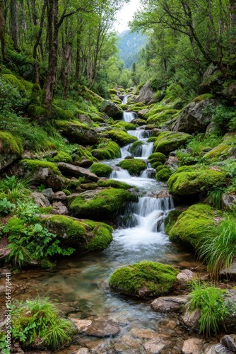 Lush mountain stream cascading over rocks
