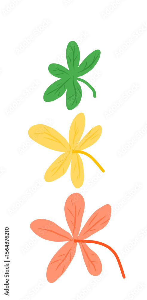 Fototapeta premium orange flower on white background
