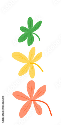 orange flower on white background
