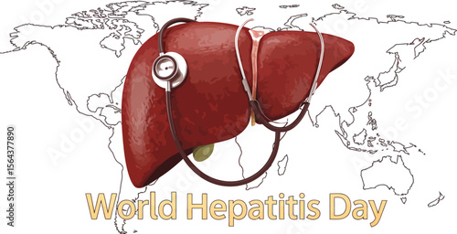 Liver with stethoscope on world map for world hepatitis day awareness and medical health care concept