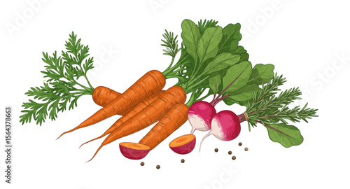 fresh carrots with leaves