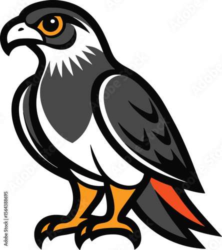 Peregrine falcon bird silhouette isolated on white background